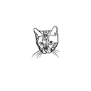 Oh My Ink x SPCA temporary tattoo - Domestic Cat 4