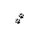 Oh My Ink x SPCA temporary tattoo - Cat Paw Prints