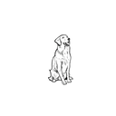 金色盲盒：半永久纹身