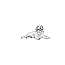 金色盲盒：半永久纹身