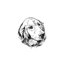 金色盲盒：半永久纹身