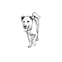 Mongrel盲盒：半永久紋身