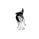 Mongrel盲盒：半永久紋身