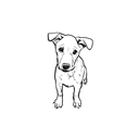 Mongrel盲盒：半永久紋身