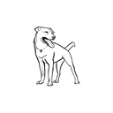 Mongrel盲盒：半永久紋身