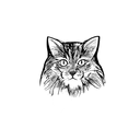 长毛猫盲盒：半永久纹身