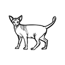 Sphynx 5