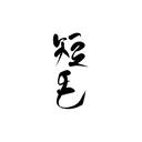 Slogan 5