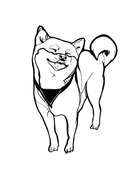 Shiba 3