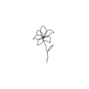 Oh My Ink temporary tattoo - Fine Line Lilium