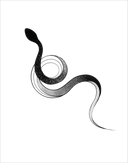Snake (Thin line)